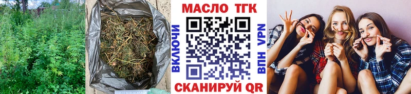 blacksprut ссылки  купить   Бирюч  ТГК THC oil 